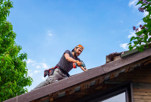 Best Roof Leak Repair  in West Point, UT